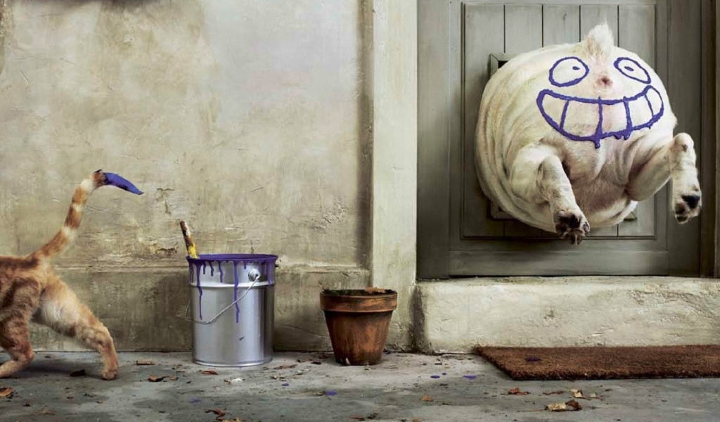 Бестыжий котяра