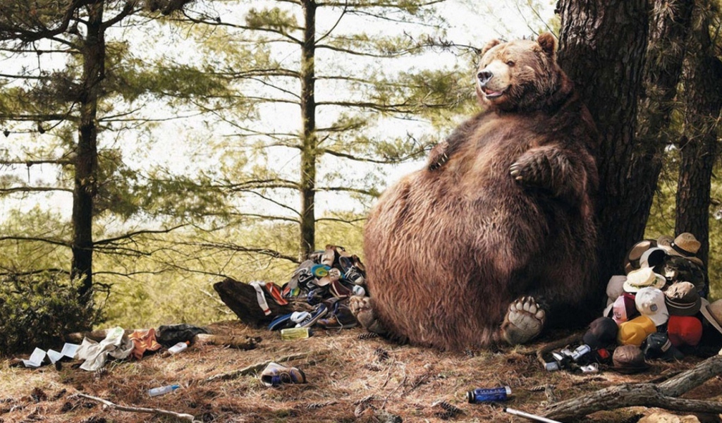 Медведь в походе