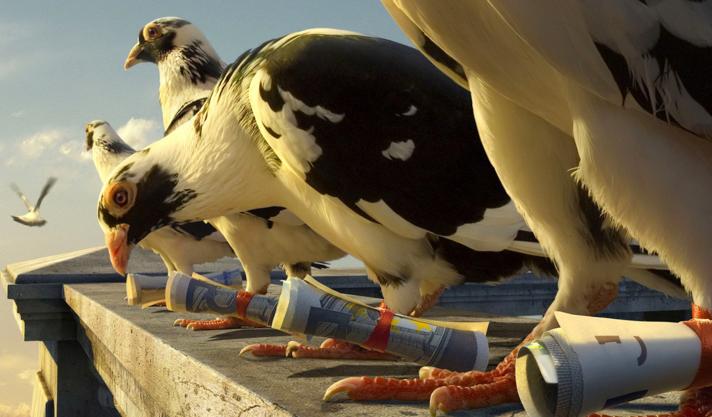 Почтовые голуби