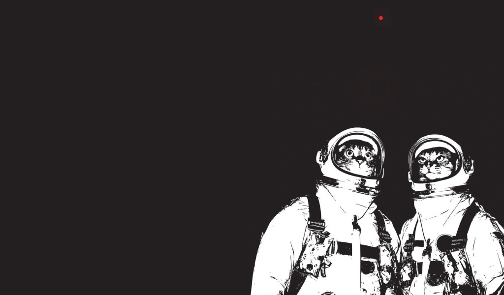 Коты космонавты