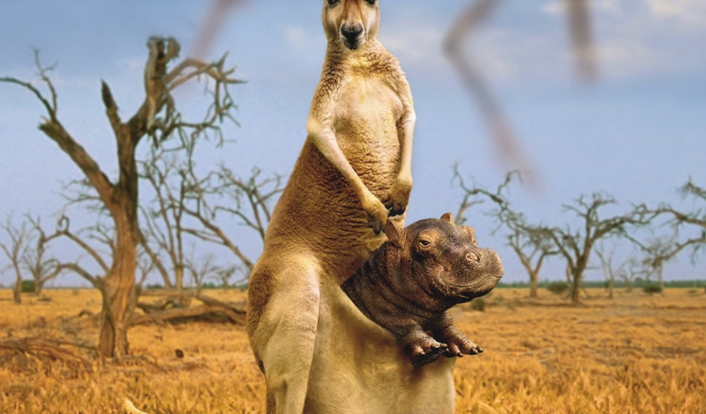 Приемный сын