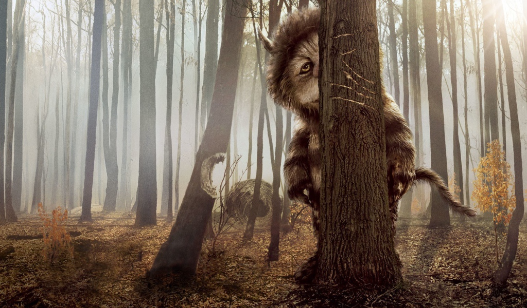 КотоПёс кэжуал