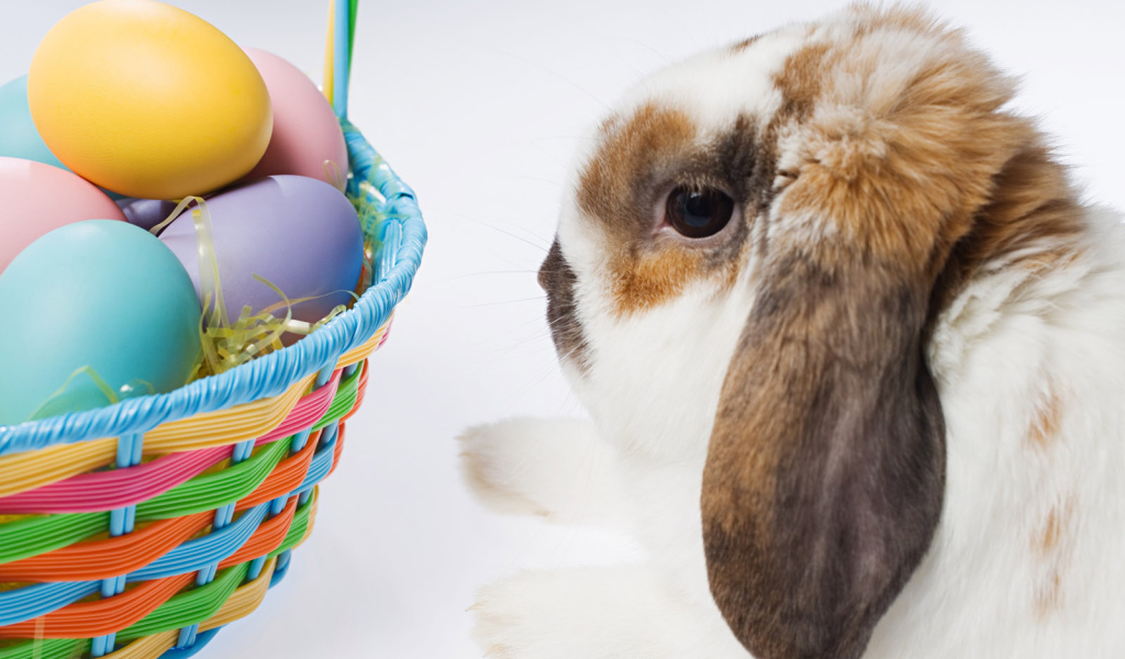 Пасхальный кролик