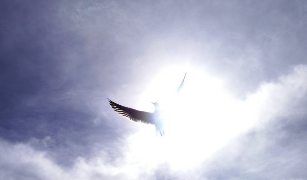 Праздничный день