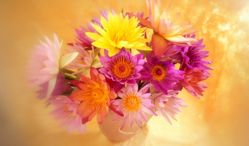 Яркие цветы красивым женщинам на 8 марта