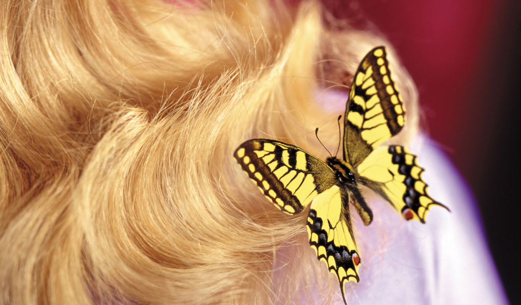 Бабочка на 8 марта