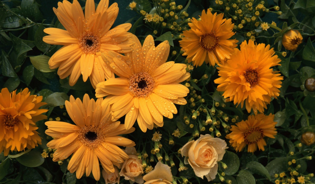 Цветы любимой женщине