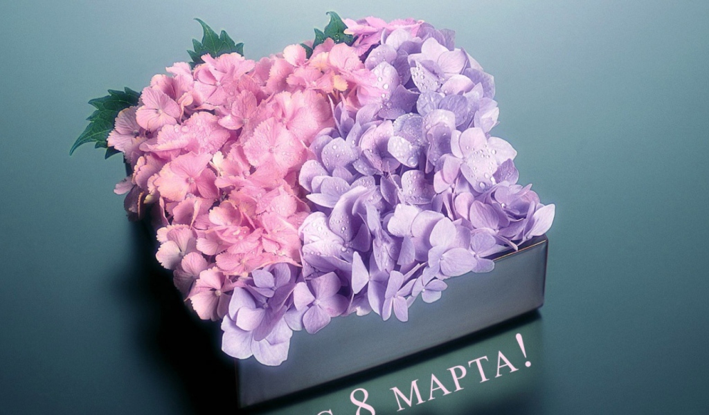 Цветы любимым девчонкам