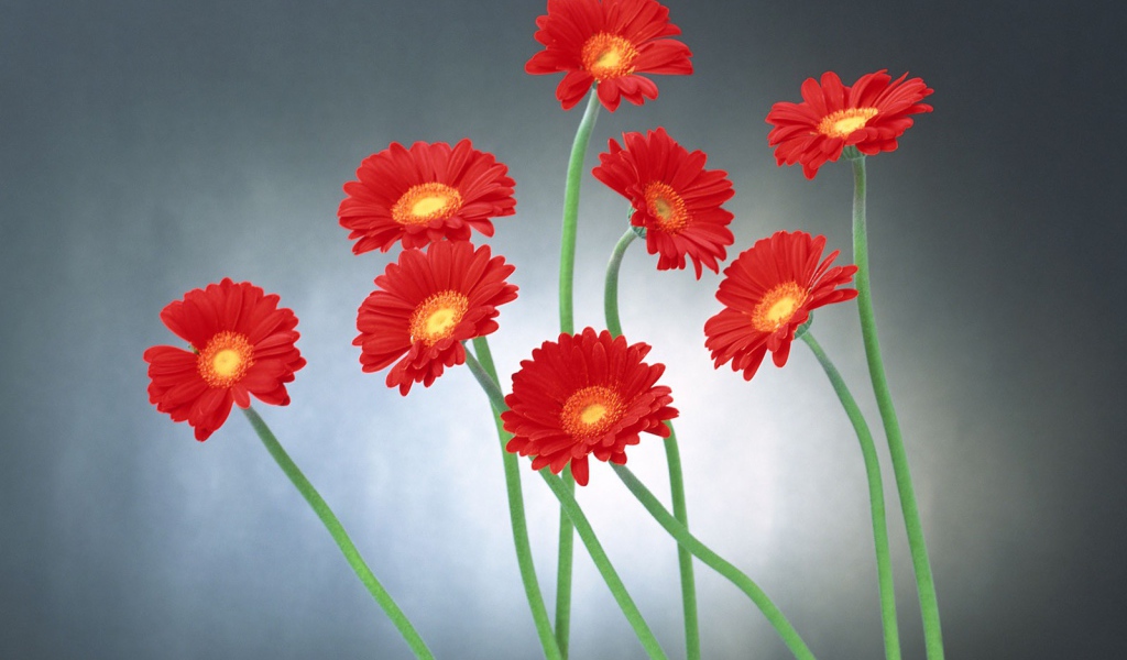 Прикольные цветы на 8 марта