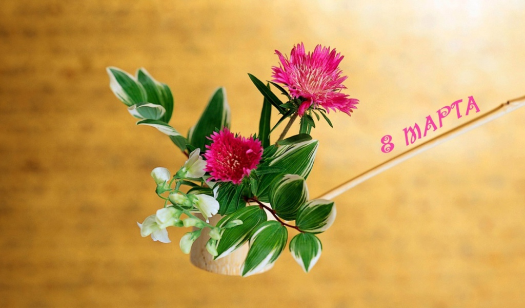 Подарки для любимых женщин