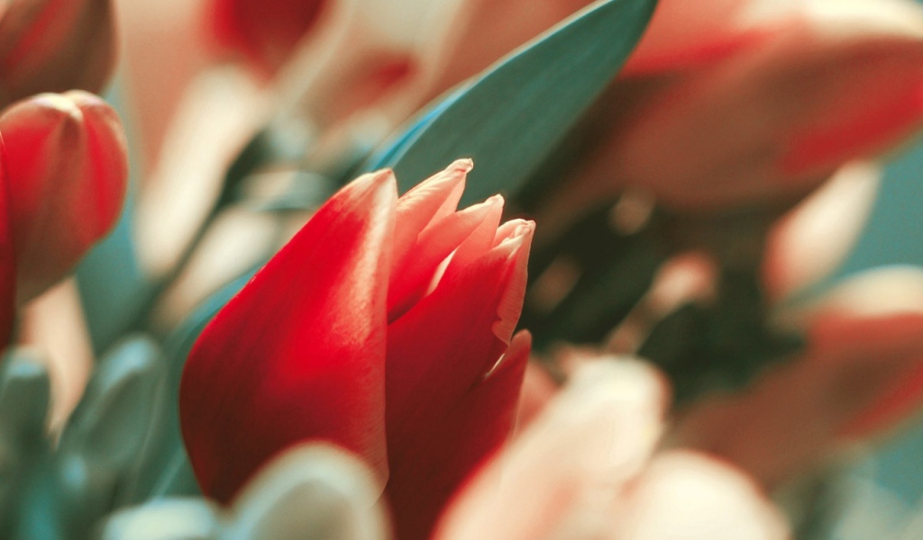 С днем 8 марта!