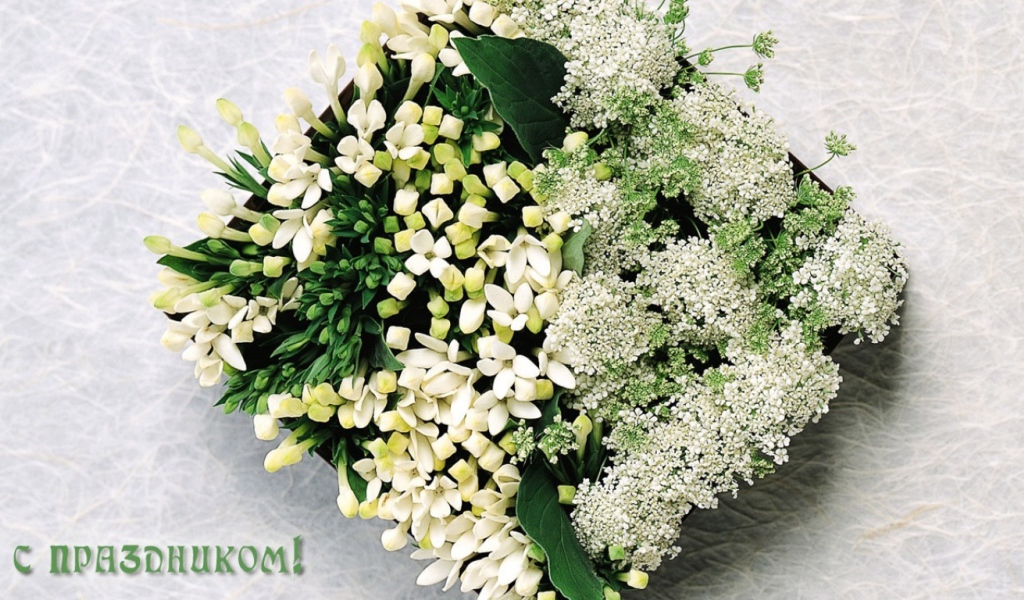 Праздник для любимых девушек