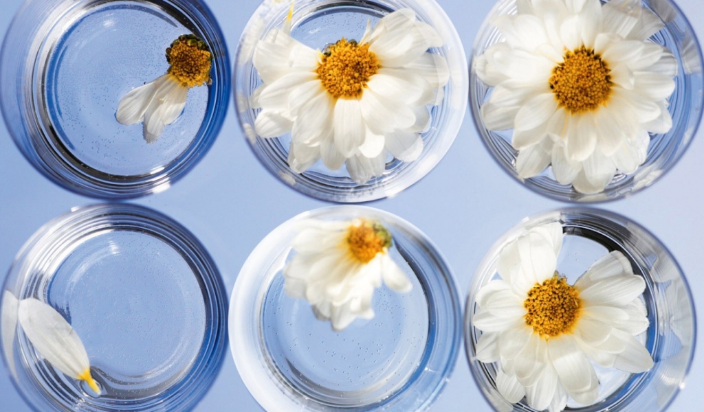 Любит не любит