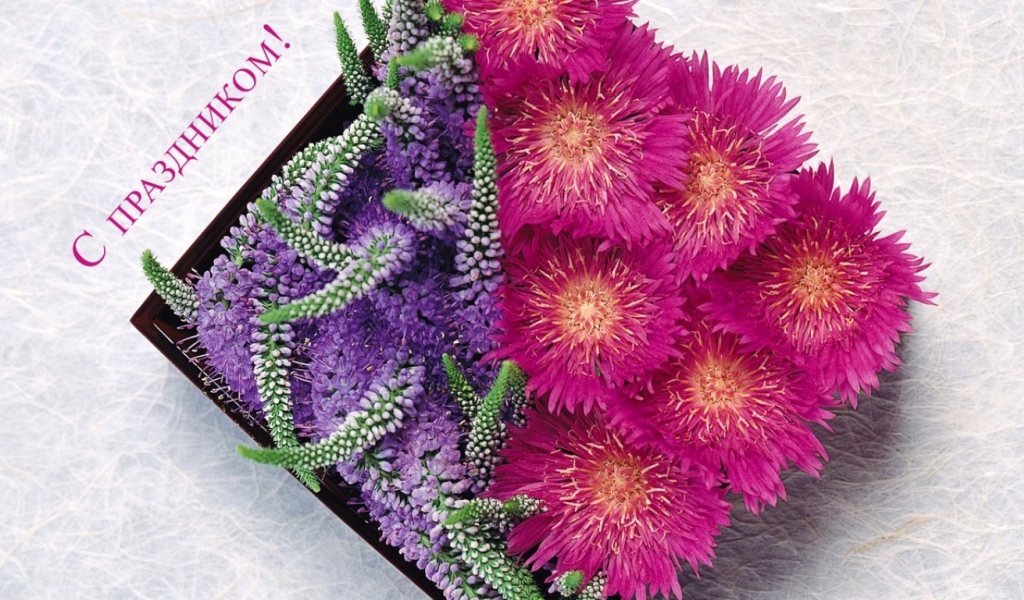 8 марта Международный женский день