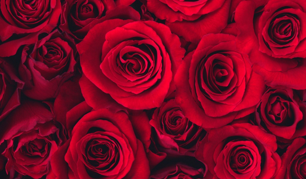 Лучшие цветы самой лучшей женщине