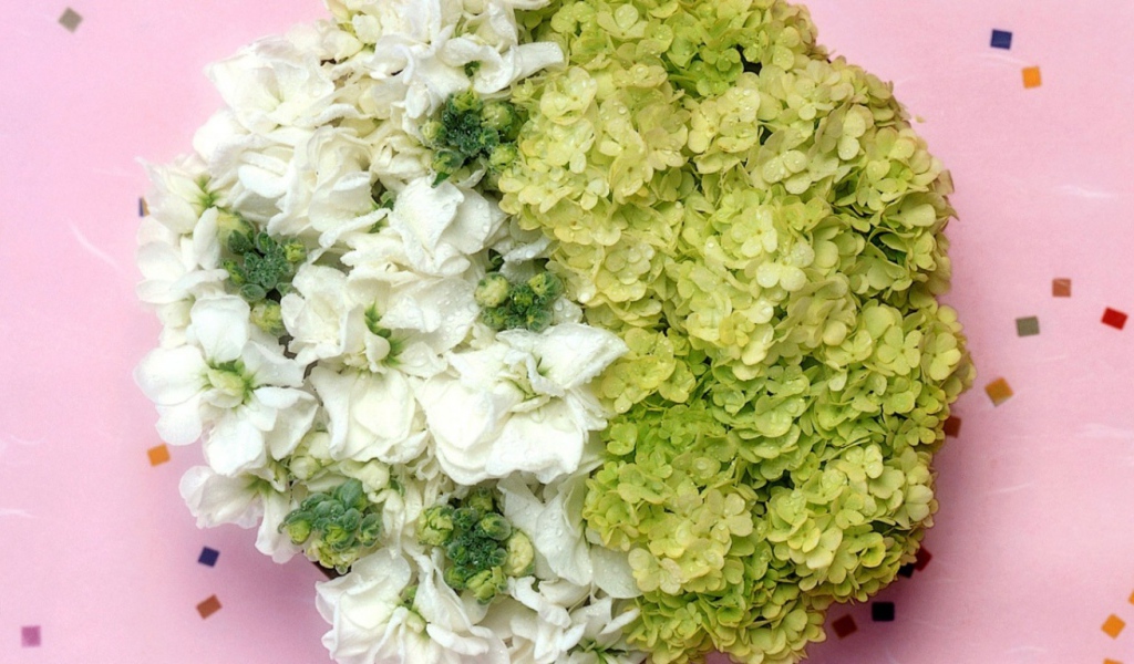 Всемирный Женский День