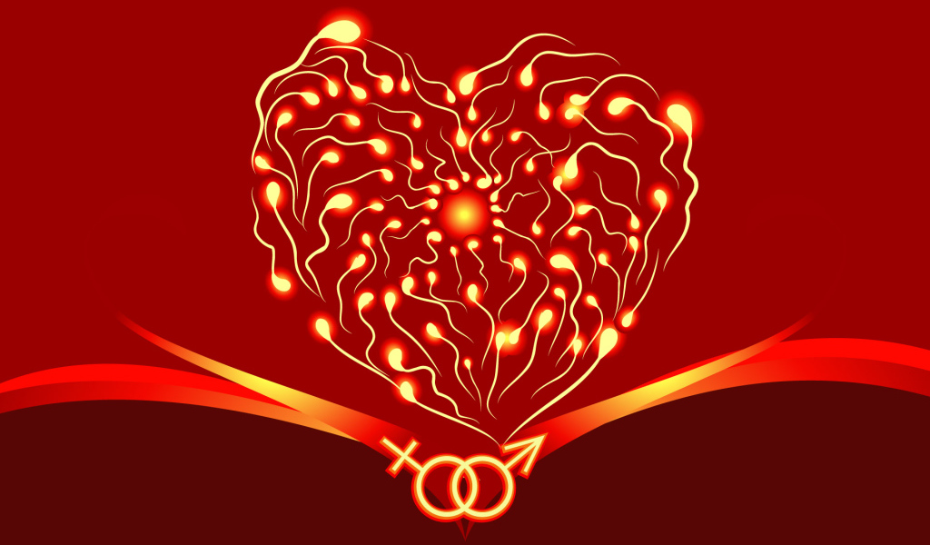 Два начала на День Влюбленных