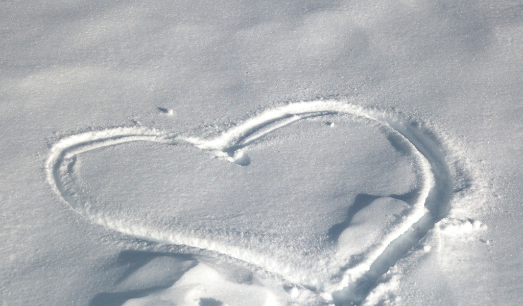 След на снегу