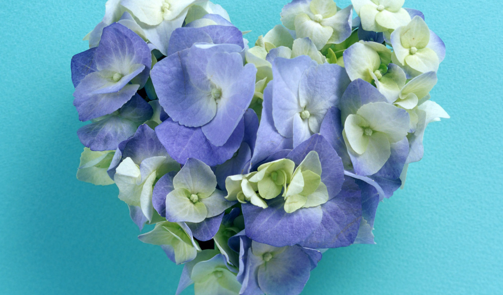 Сердечко из цветов