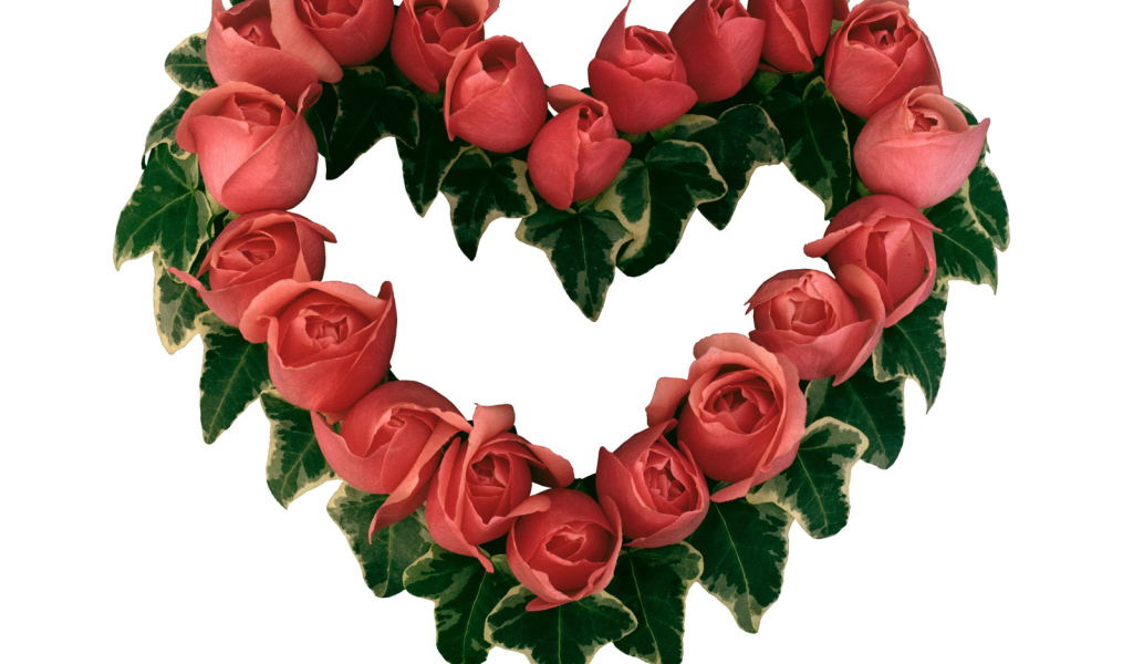 Сердце из роз