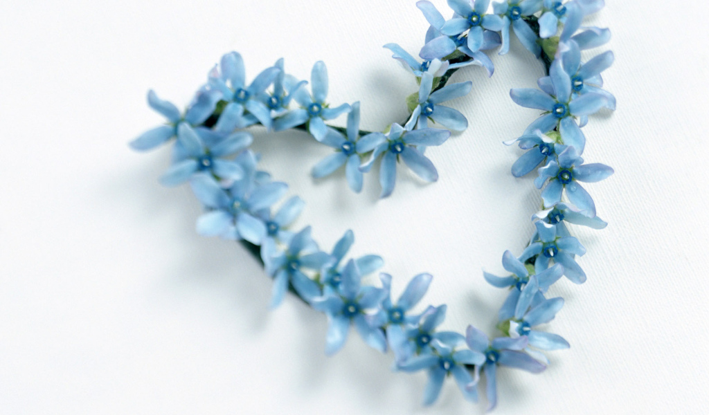 Сердечко из голубых цветов