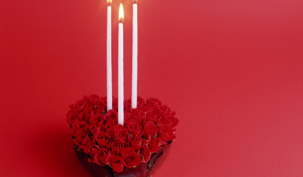 Красные розы в День Святого Валентина