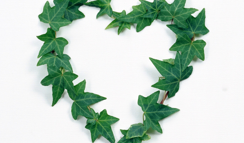 Сердце из листьев