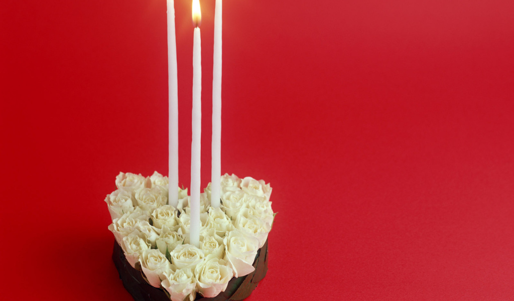 Белые розы в День Святого Валентина