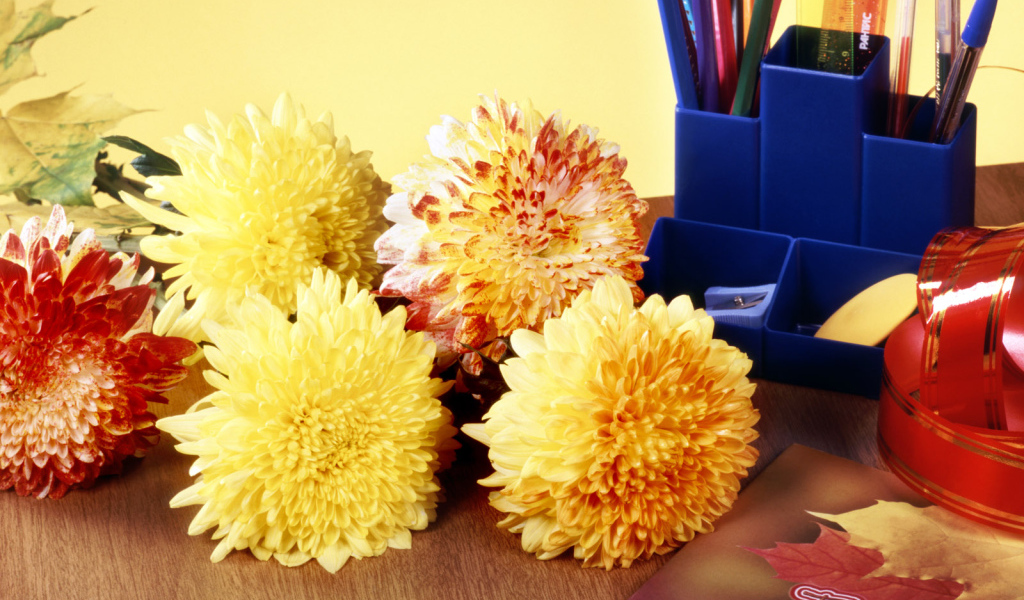 Снова за парту