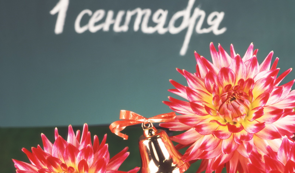 День знаний