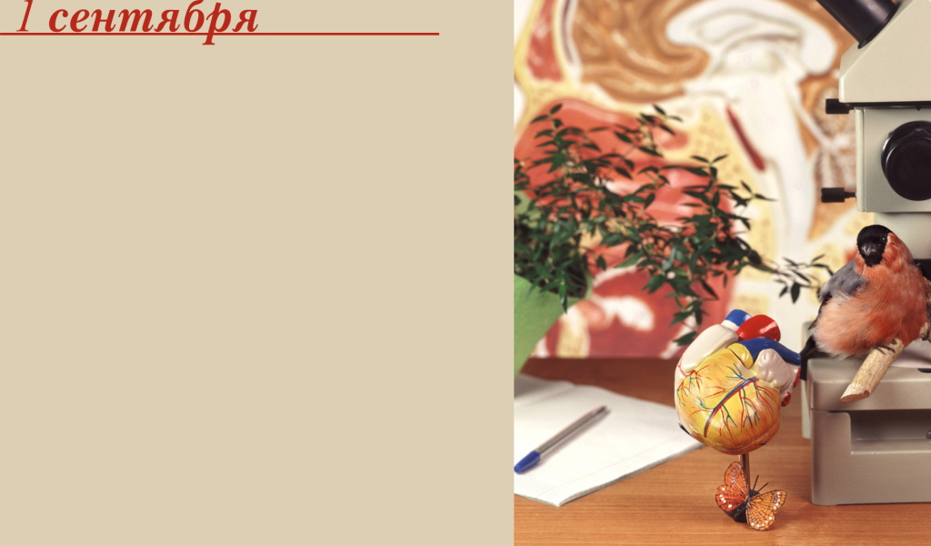 Начало учебного года