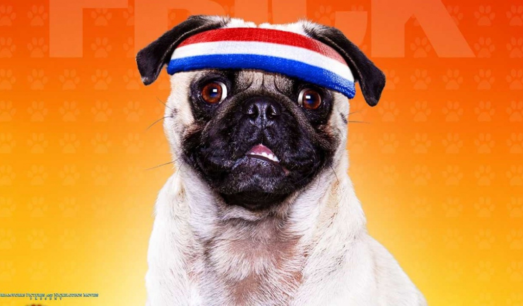 Отель для собак / Hotel for Dogs 2009