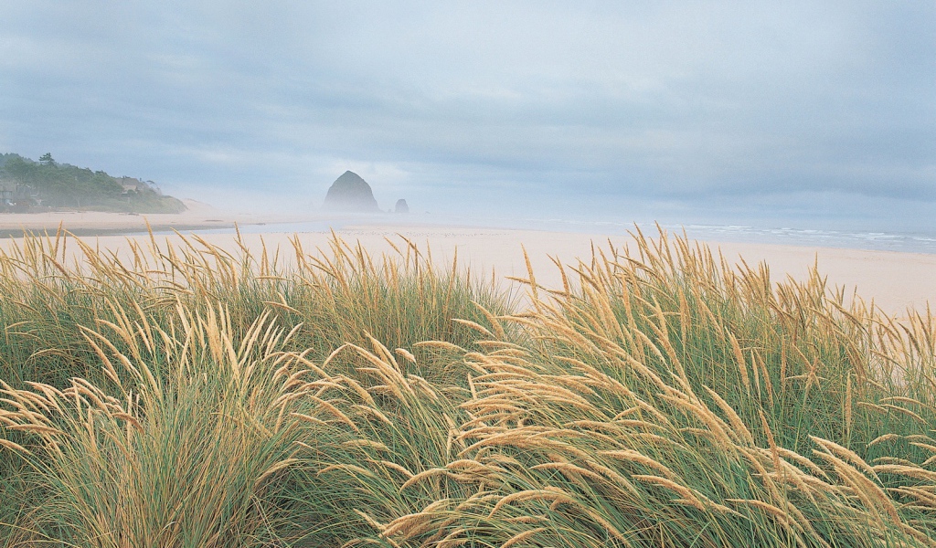 На берегу моря