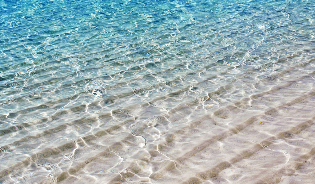 На берегу моря