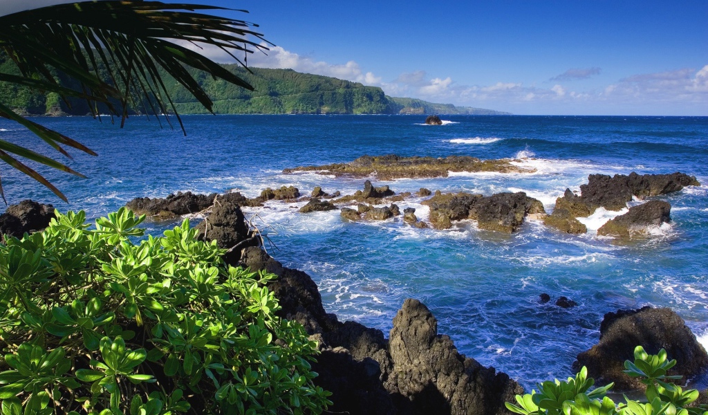 Райский залив