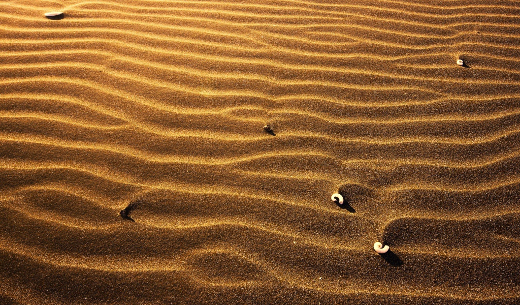 Пляжный песок