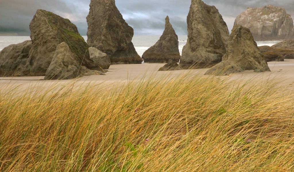 Пребрежные скалы