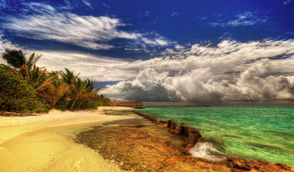 Земля обетованная