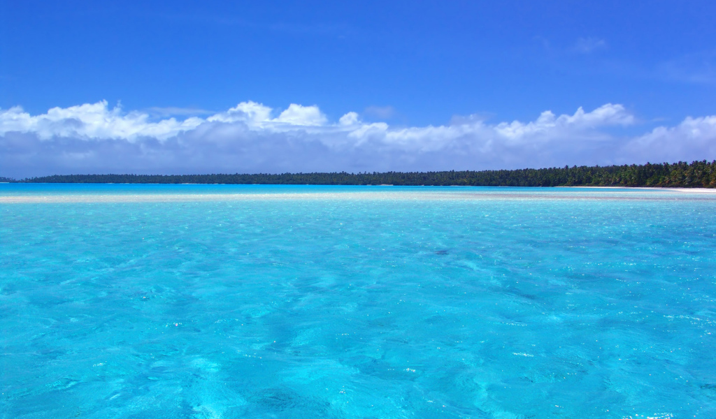 Отдых на берегу моря