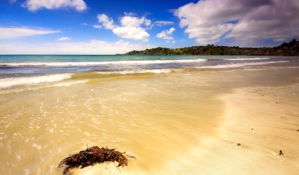 Летний день на пляже