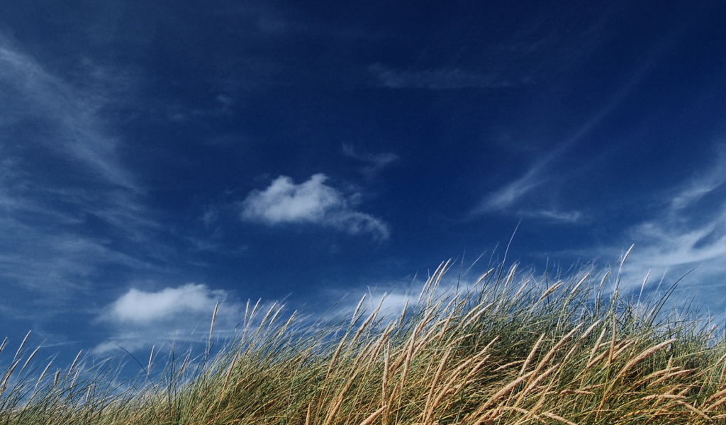 Голубое небо