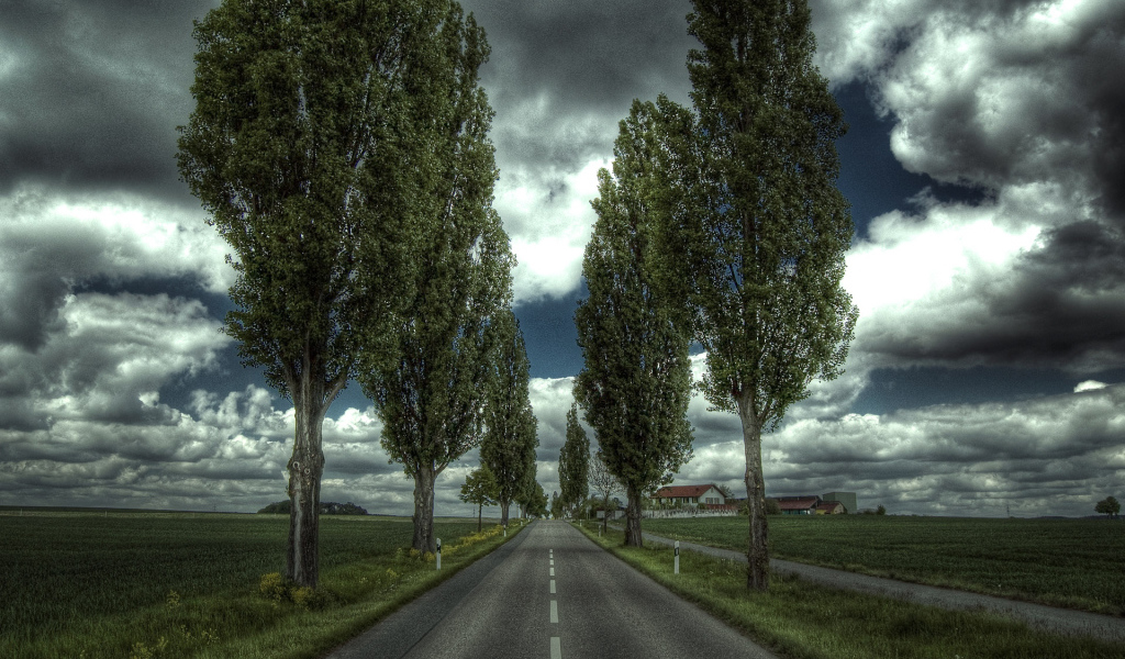 Деревенская дорога