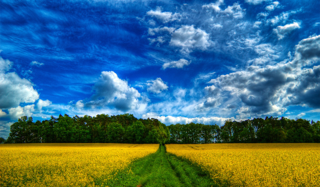 Сказочное небо