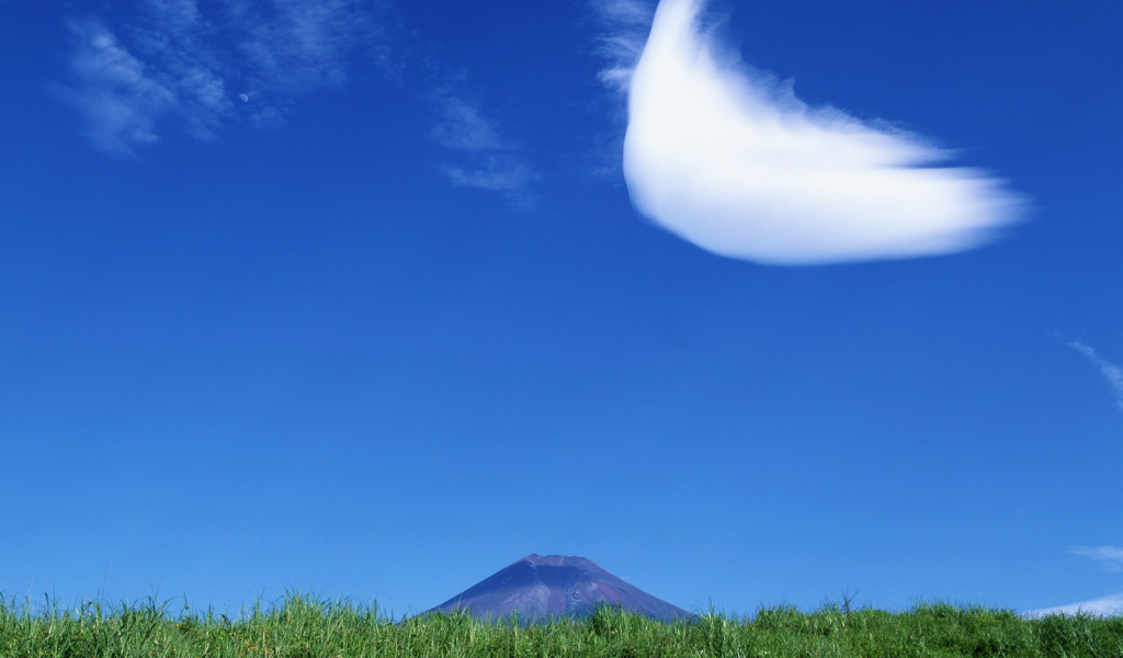 Интересное облако