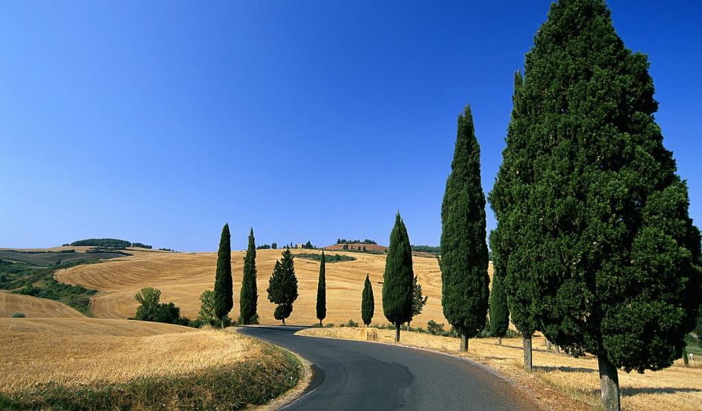 Деревенская дорога