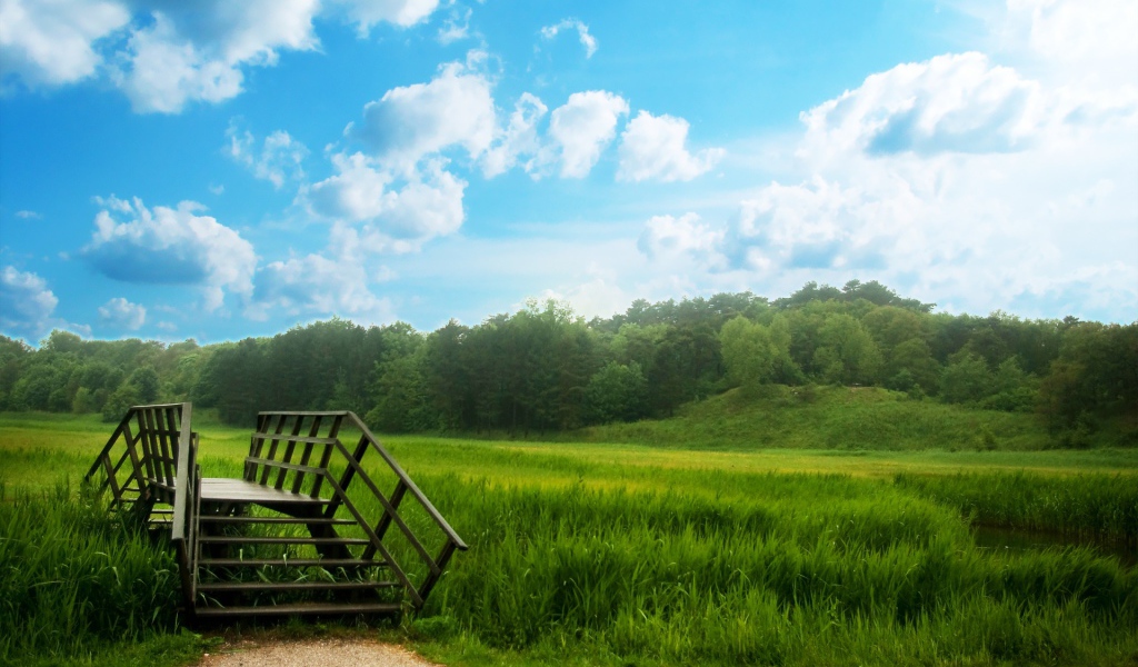 Зеленый мост