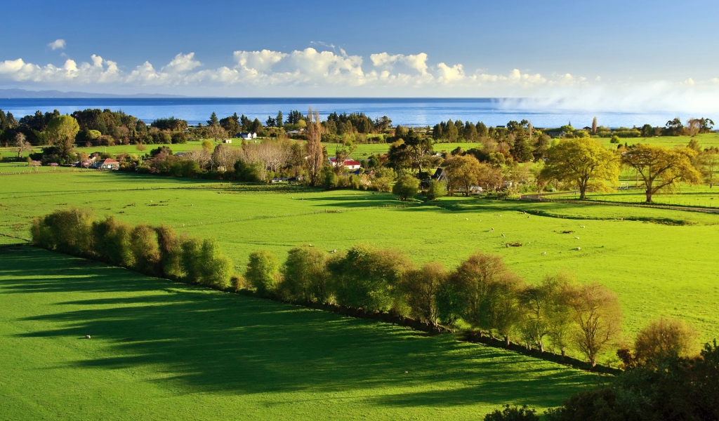 Утро в деревне