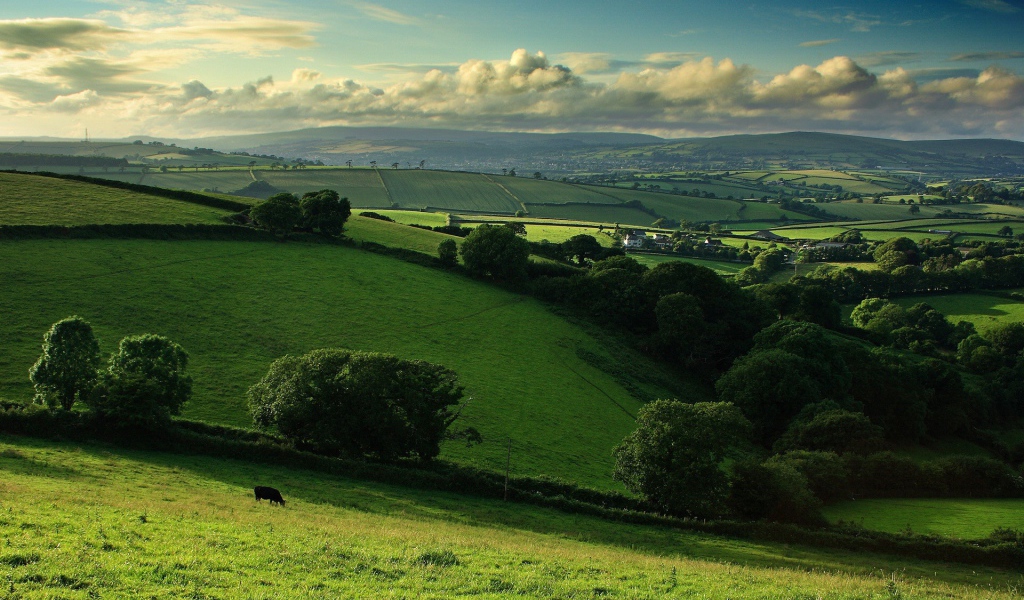 Деревенские поля