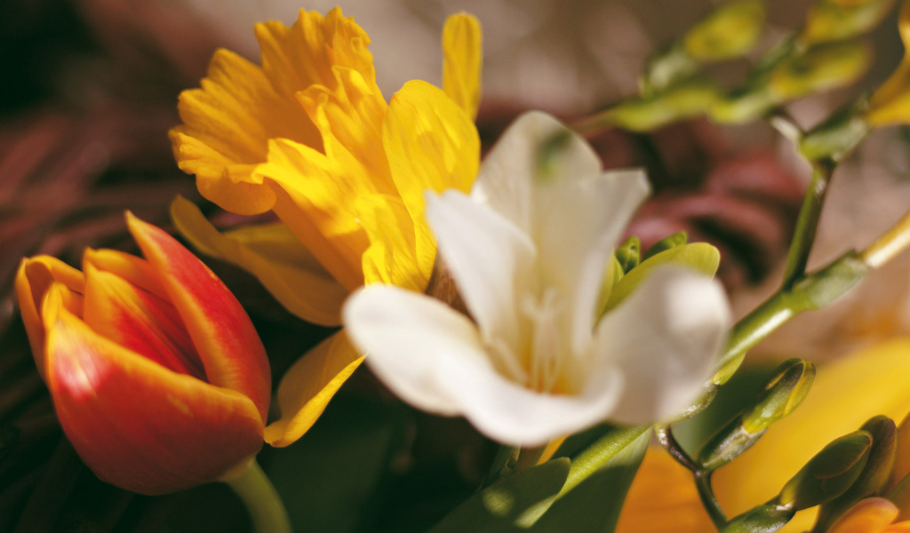 Яркие цветочки