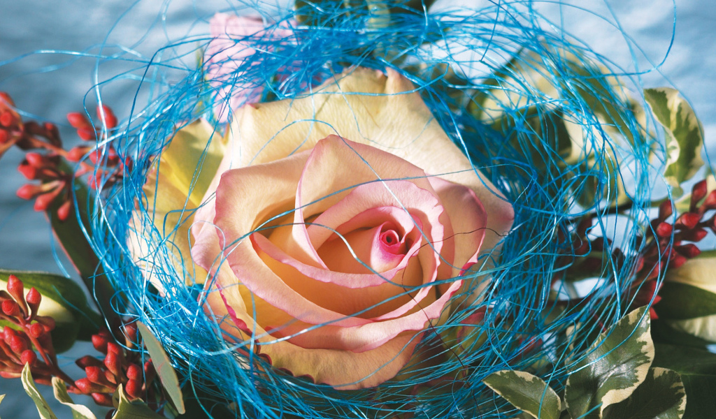 Украшенная роза